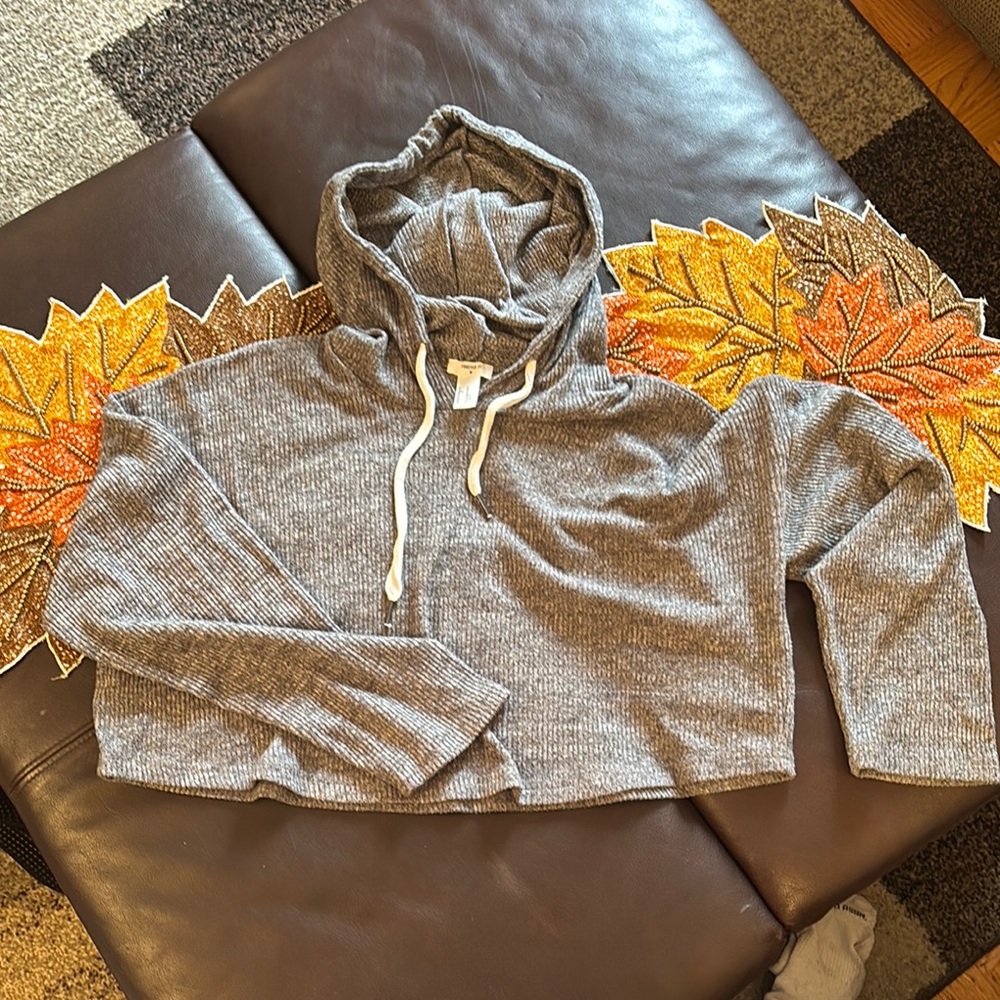 Gray Cropped Hoodie